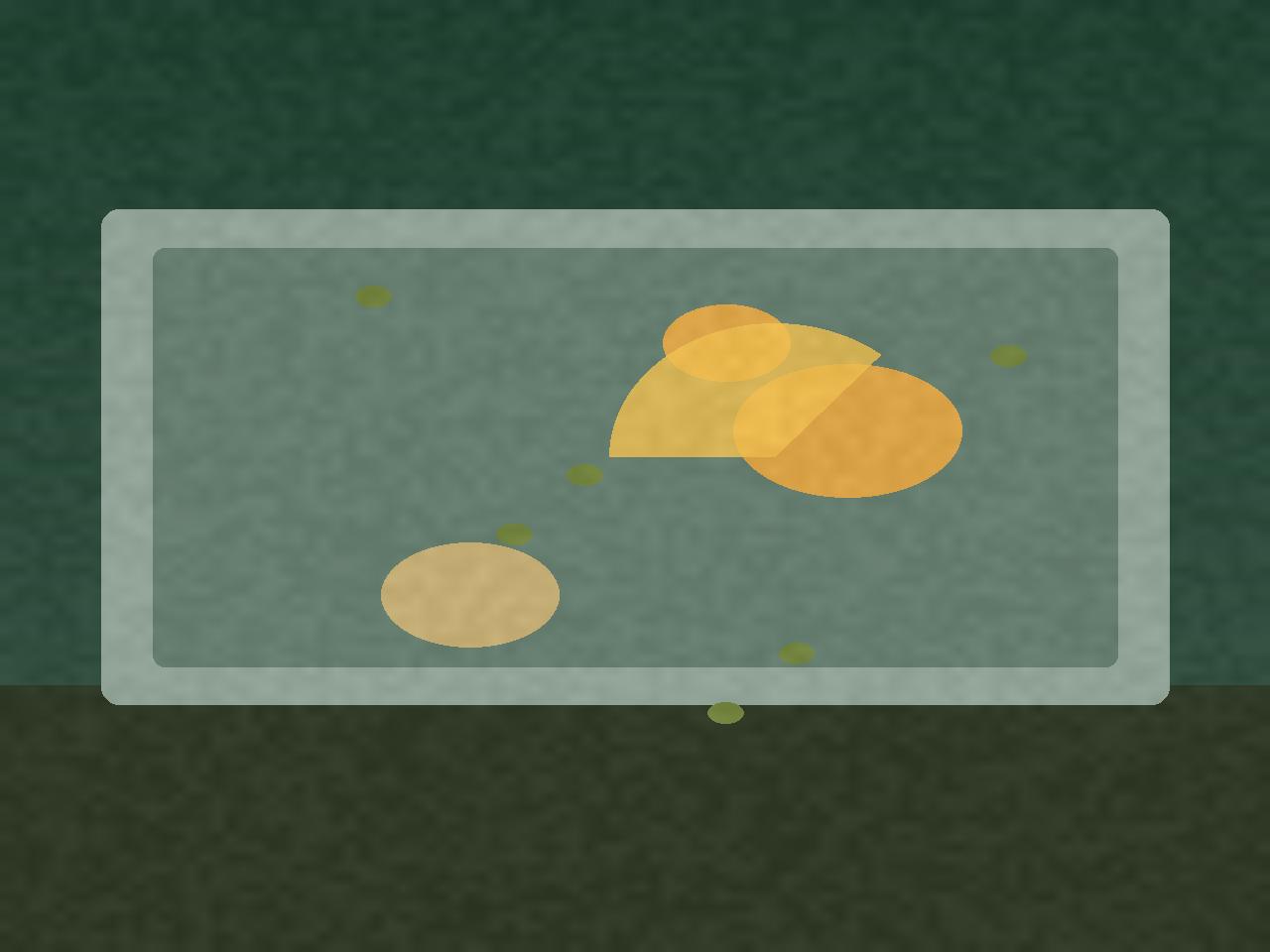 Anise Chicken Skillet in a griddle